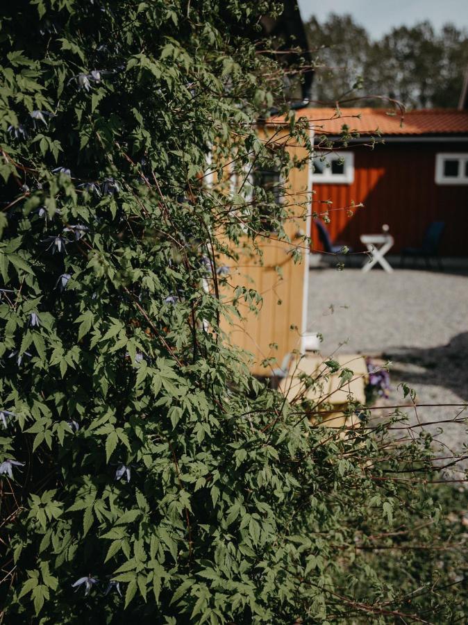 En Lantlig Idyll Med Skogen Precis Utanfoer Doerren! Villa อุลลาเรียด ภายนอก รูปภาพ