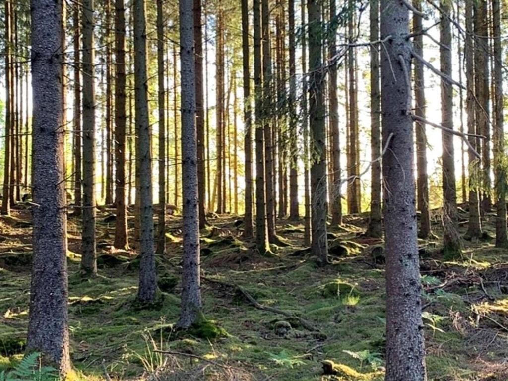 En Lantlig Idyll Med Skogen Precis Utanfoer Doerren! Villa อุลลาเรียด ภายนอก รูปภาพ